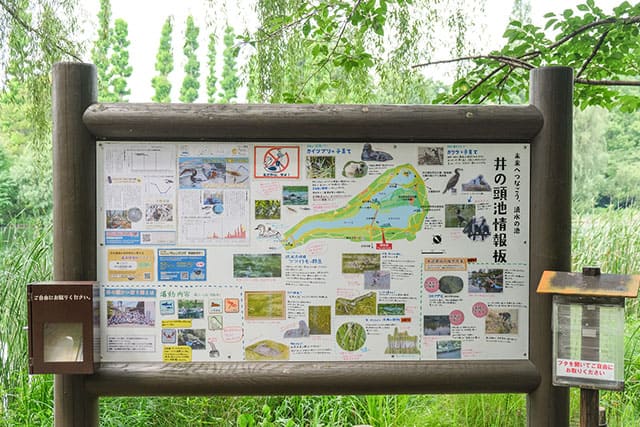 井の頭恩賜公園