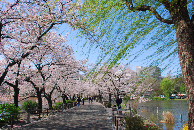 ueno-park-tokyo