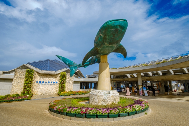 沖縄美ら海水族館