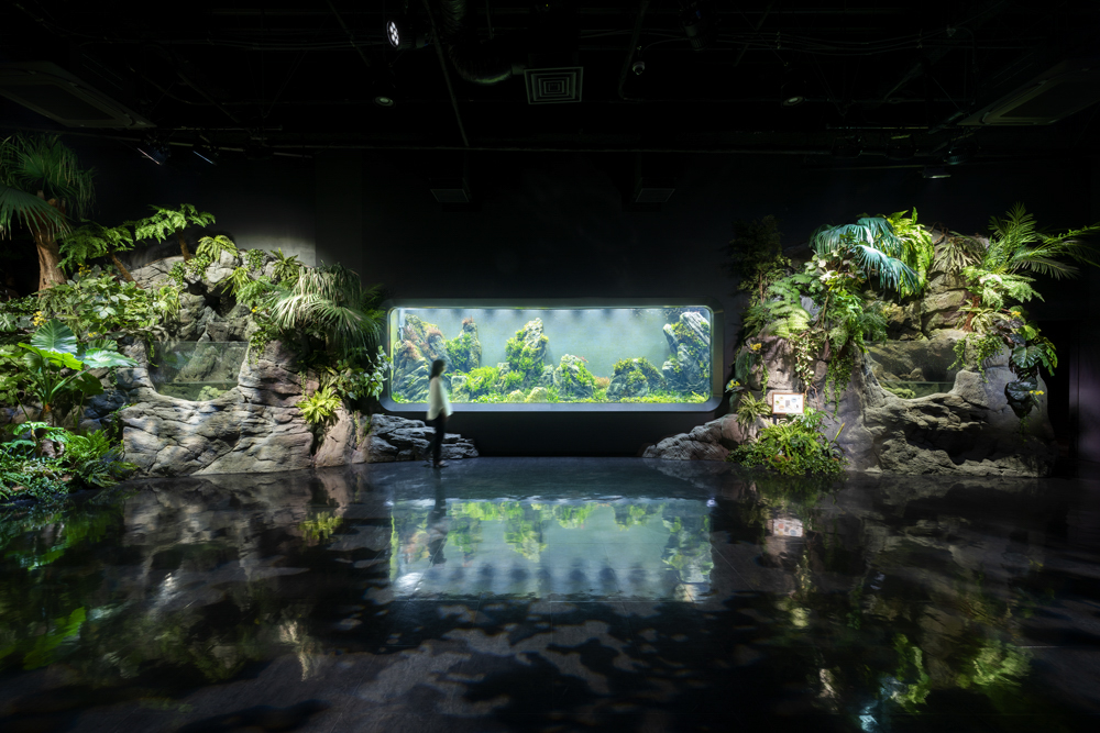 DMM水族館